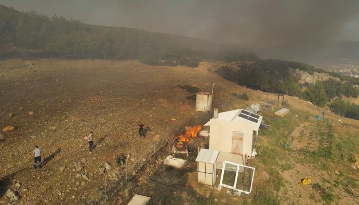 Bucak’ta aynı günde çıkan 6 farklı yangında 400 dekar alan yandı
