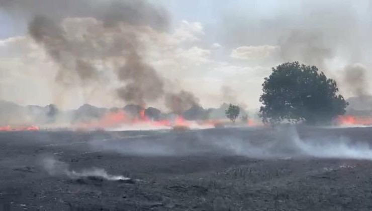 Bucak’ta aynı günde çıkan 6 farklı yangında 400 dekar alan yandı
