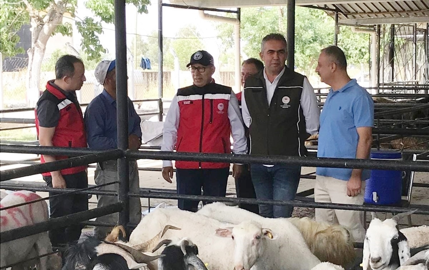 Aydın’da kurban satış yerlerinde sıkı denetim
