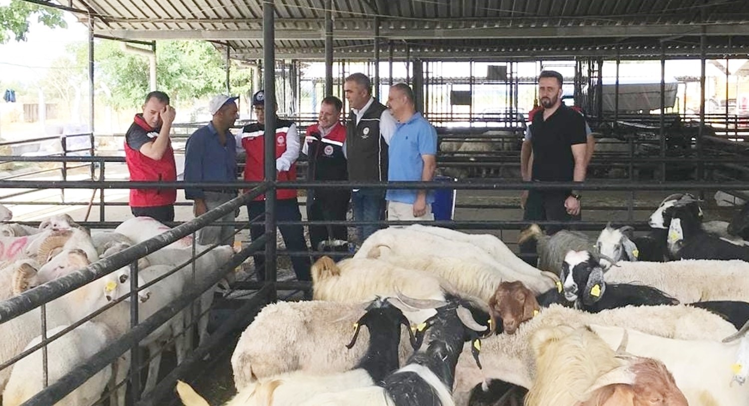 Aydın’da kurban satış yerlerinde sıkı denetim
