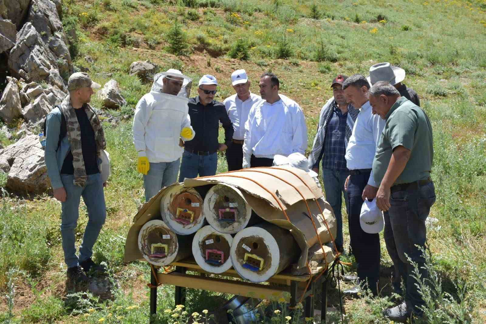 Dünyanın en kaliteli balını elde edebilmek için yoğun çaba sarf ediyorlar
