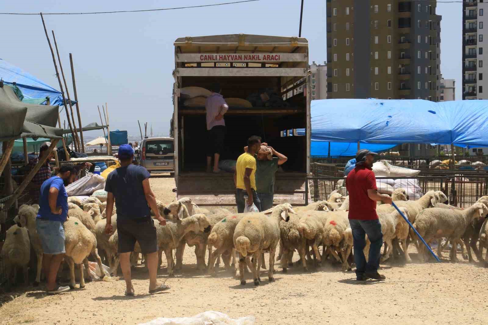 Toroslar Kurban Bayramı’na hazır
