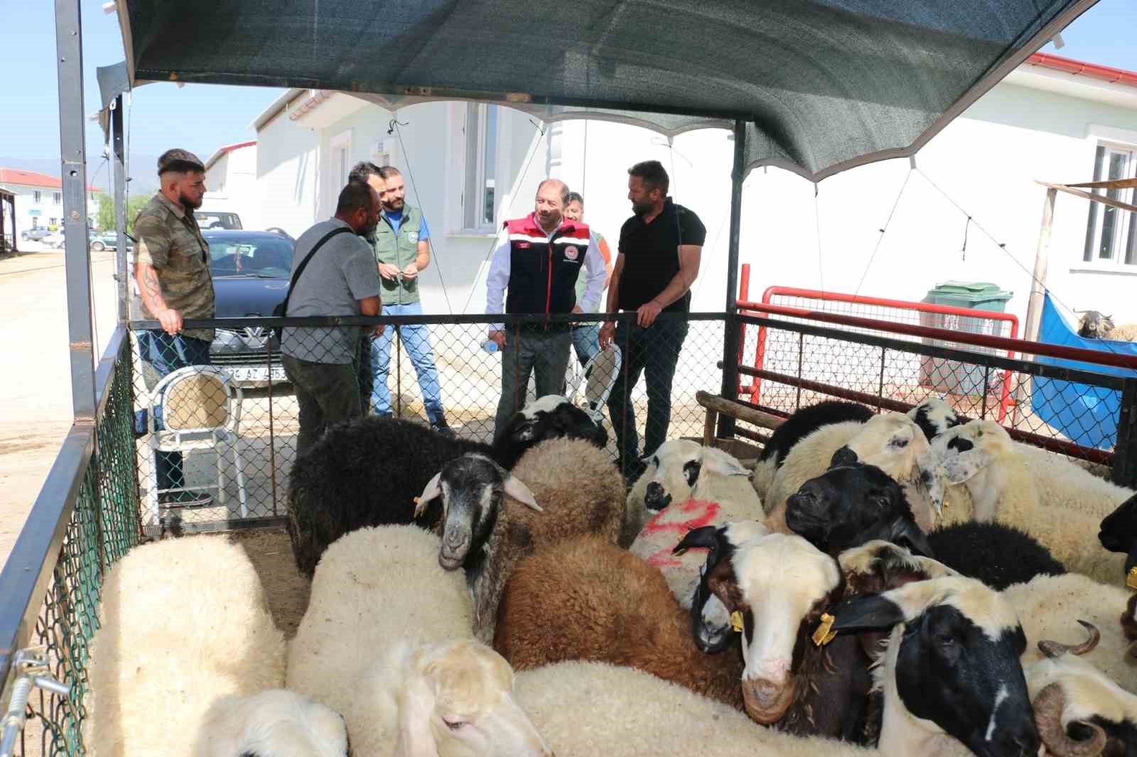 Erzincan Hayvan Pazarında denetimler sürüyor
