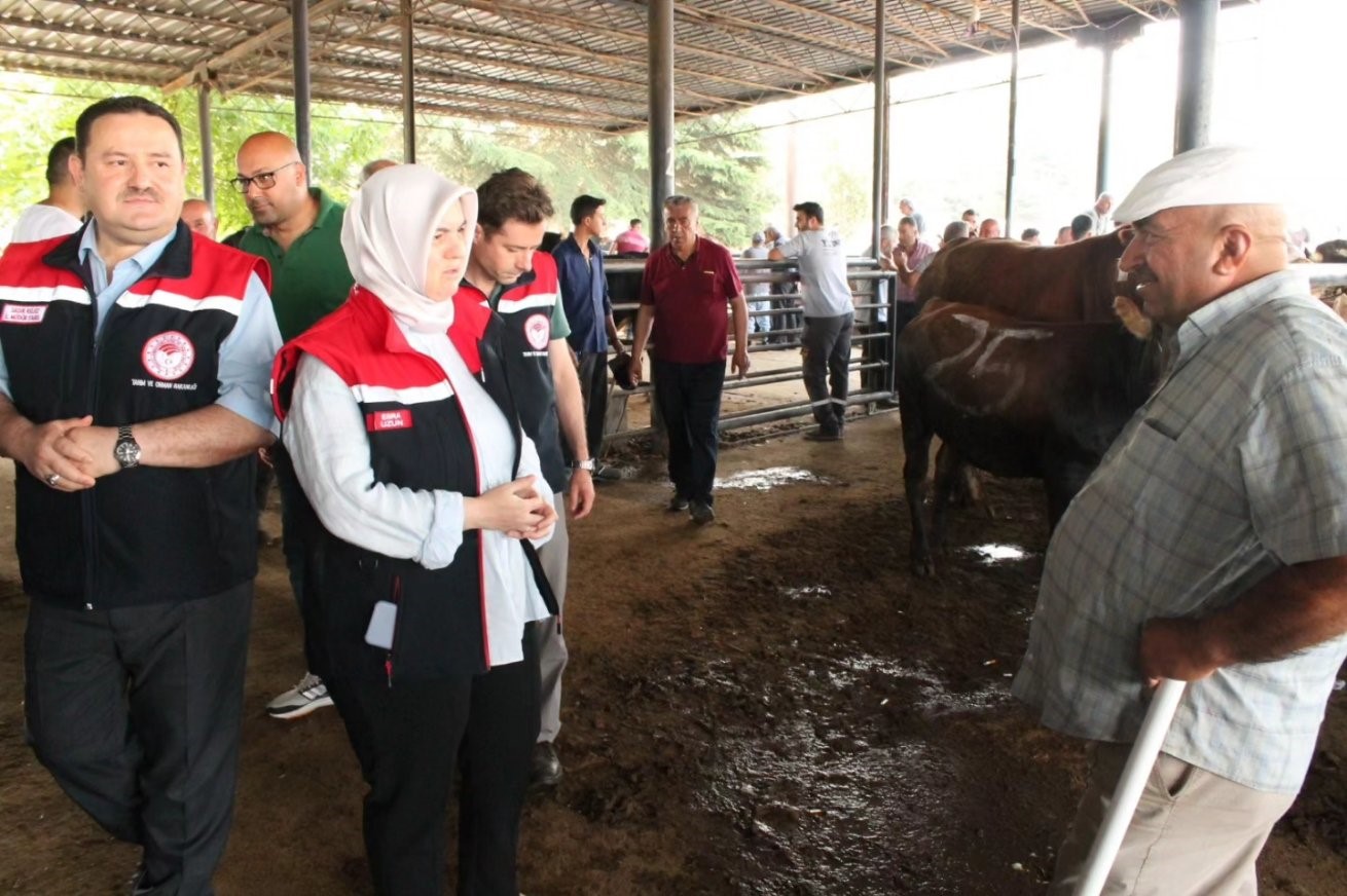 Kurban bayramı öncesi hayvan satış yerinde denetim yapıldı
