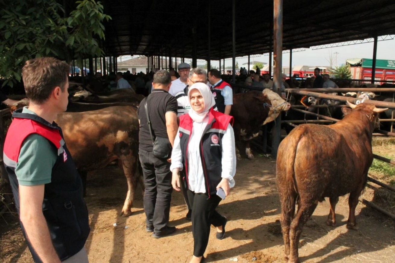 Kurban bayramı öncesi hayvan satış yerinde denetim yapıldı
