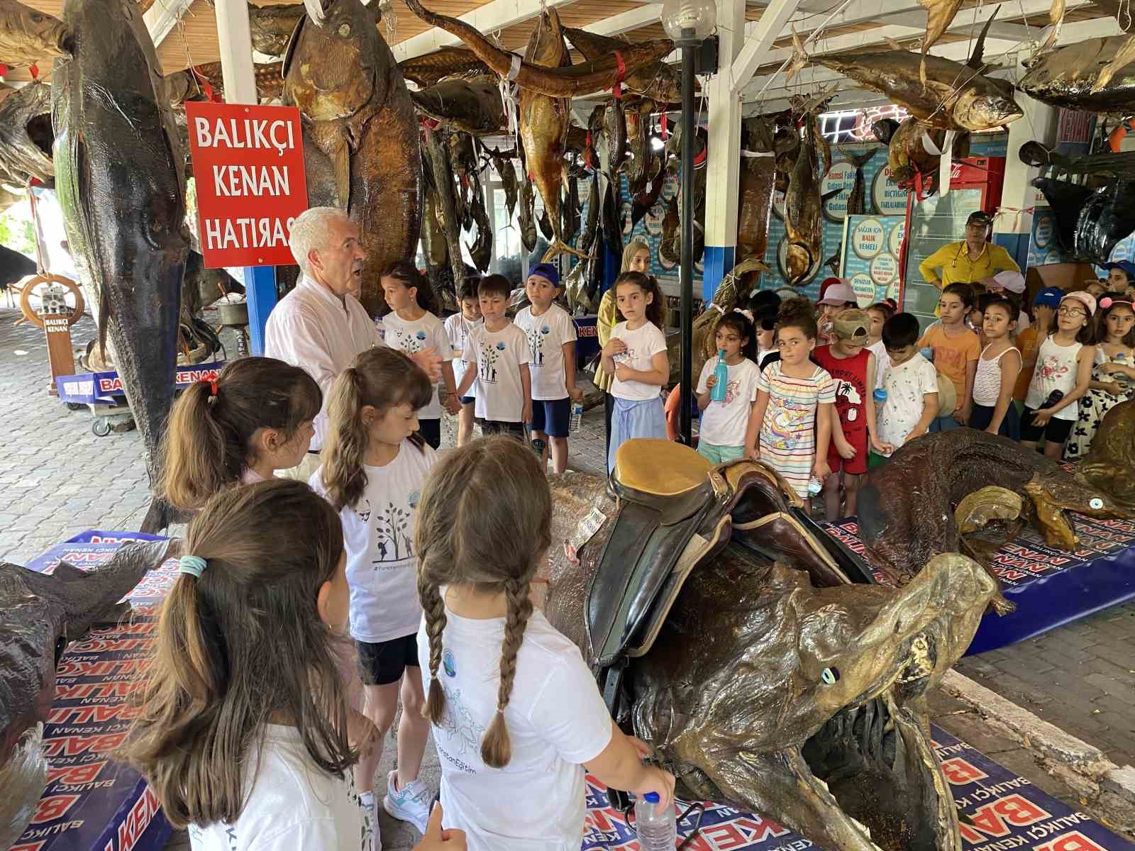 Türkiye Deniz Canlıları Müzesi’nde karnelerini alan öğrencilere ve babalara ücretsiz balık ekmek
