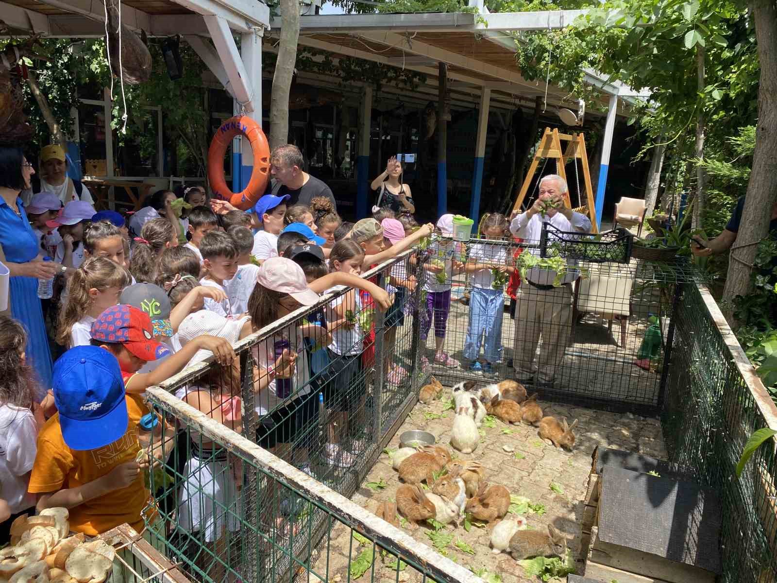 Türkiye Deniz Canlıları Müzesi’nde karnelerini alan öğrencilere ve babalara ücretsiz balık ekmek
