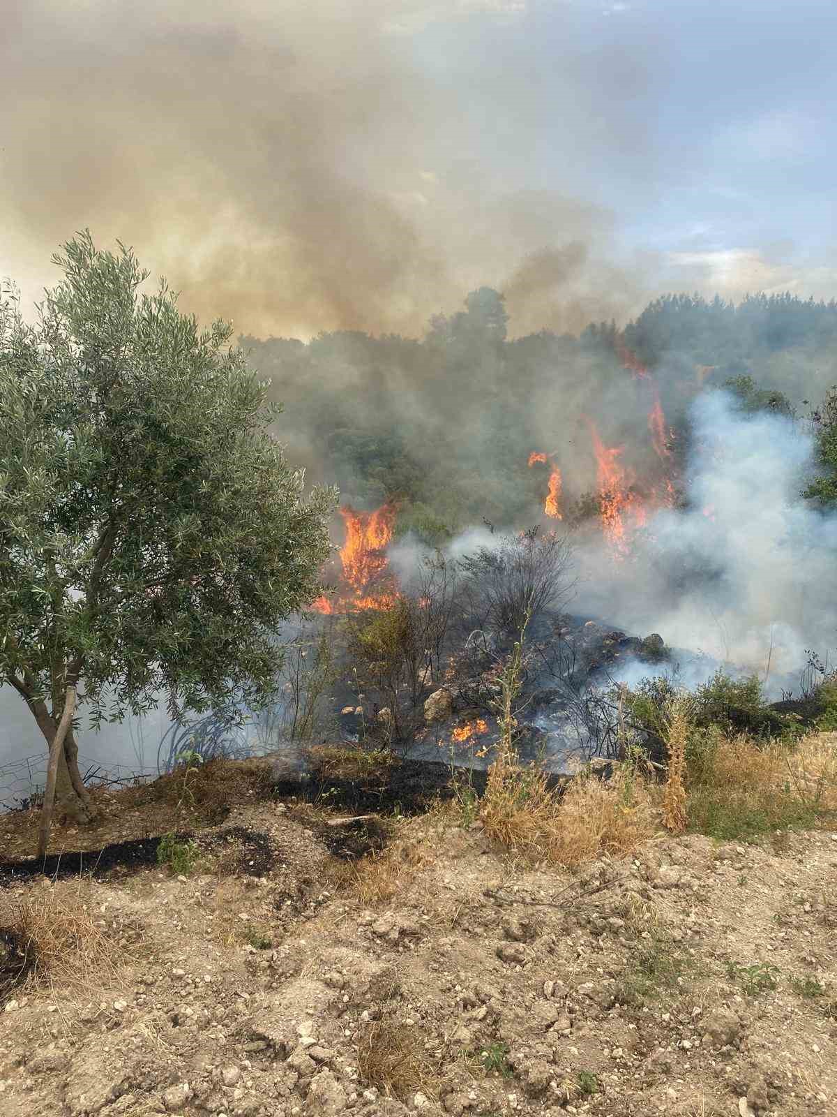 Denizli’de üç noktada orman yangını çıktı
