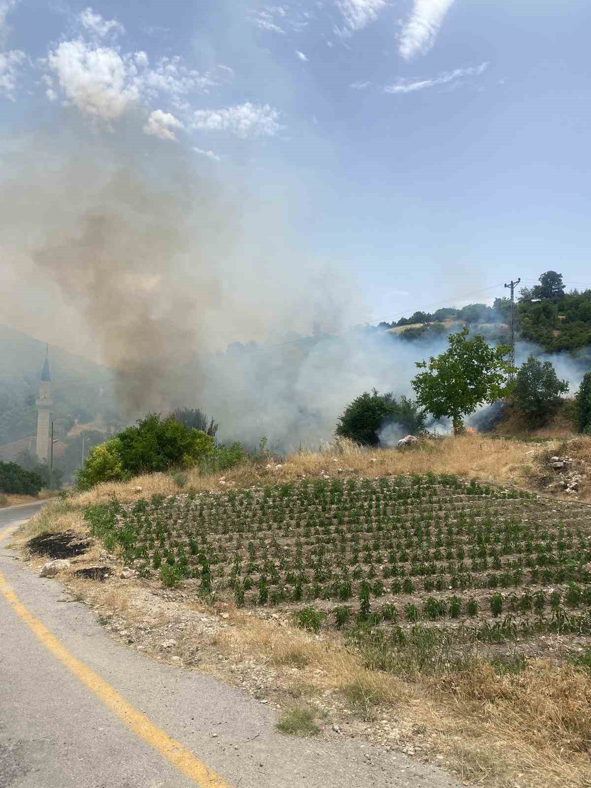 Denizli’de üç noktada orman yangını çıktı
