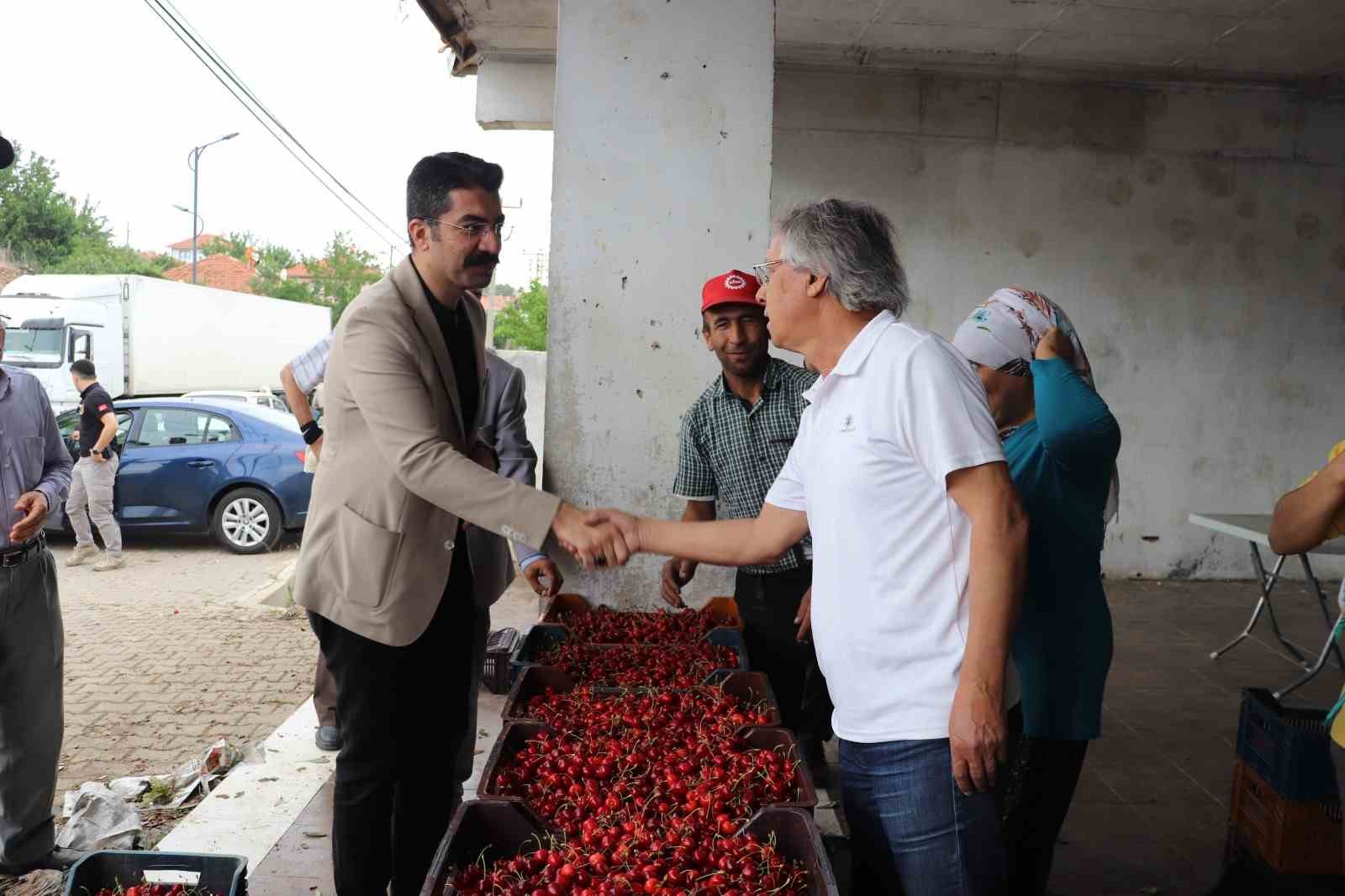 Selendi’de kiraz hasadı devam ediyor
