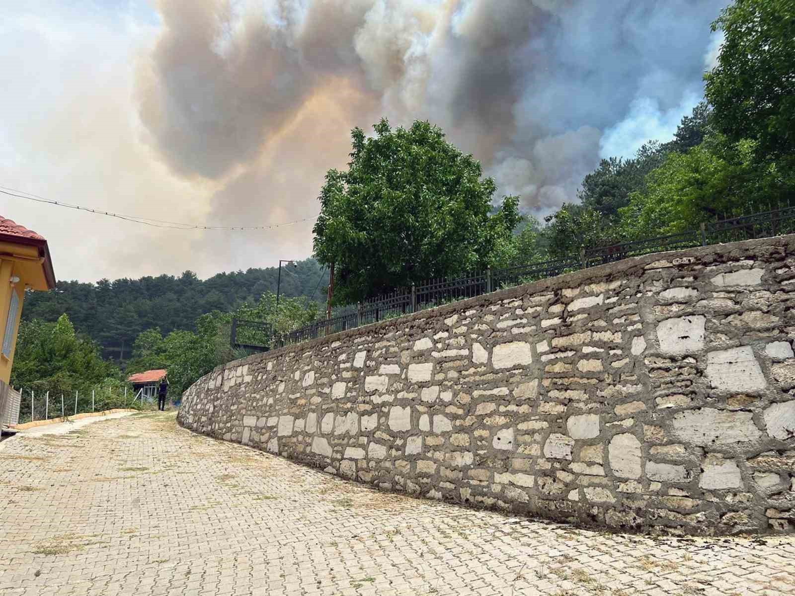 Milas’ta başlayan orman yangını büyüyor
