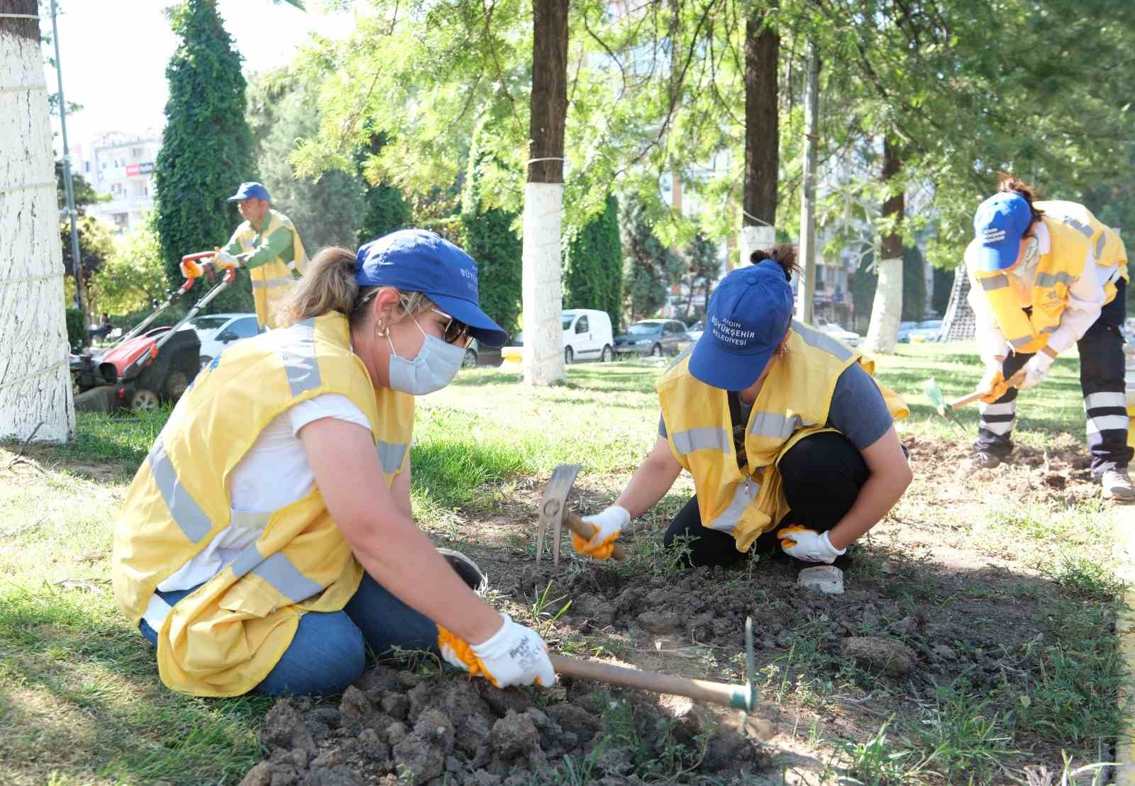 Büyükşehir Aydın’ı rengarenk çiçeklerle süslüyor
