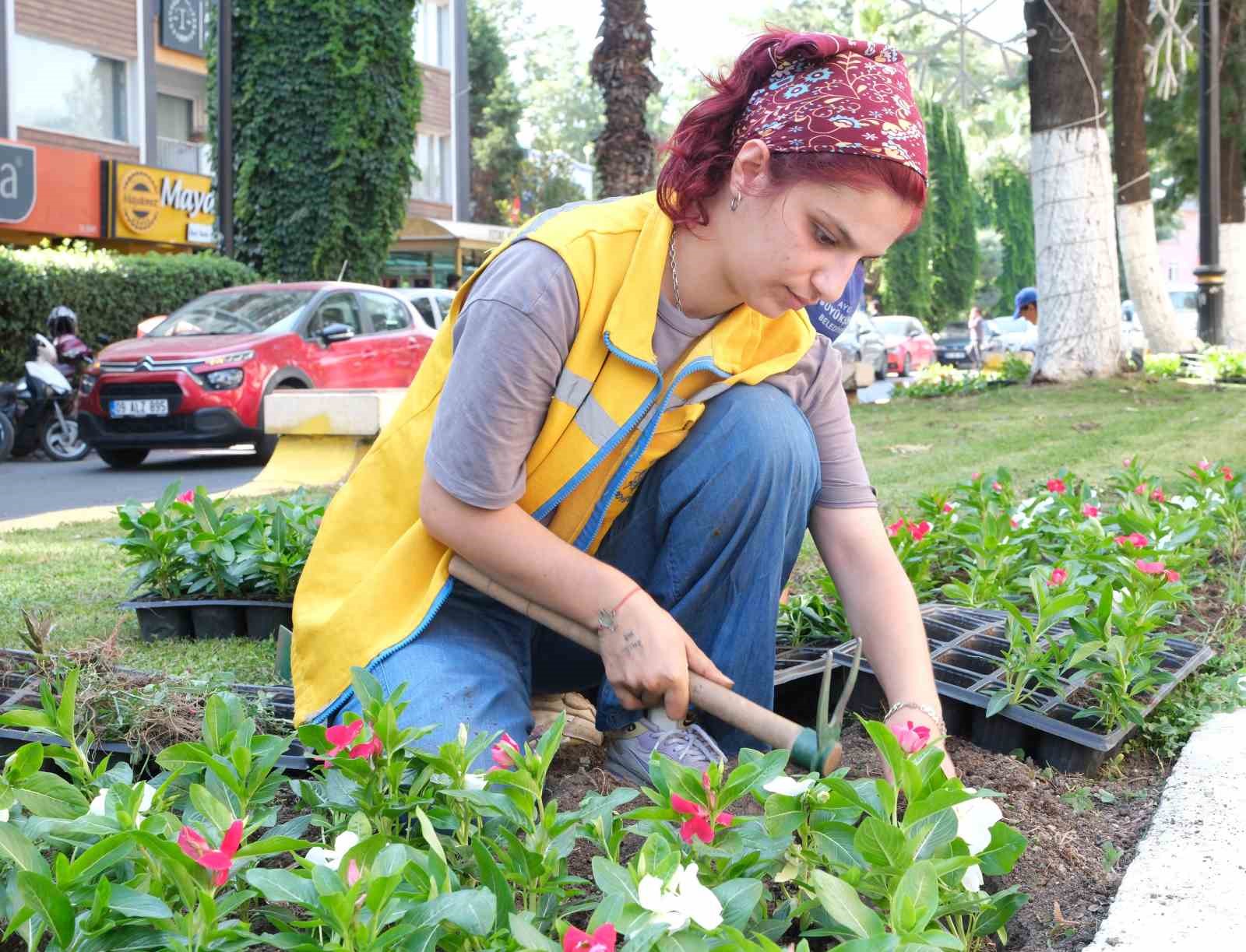 Büyükşehir Aydın’ı rengarenk çiçeklerle süslüyor
