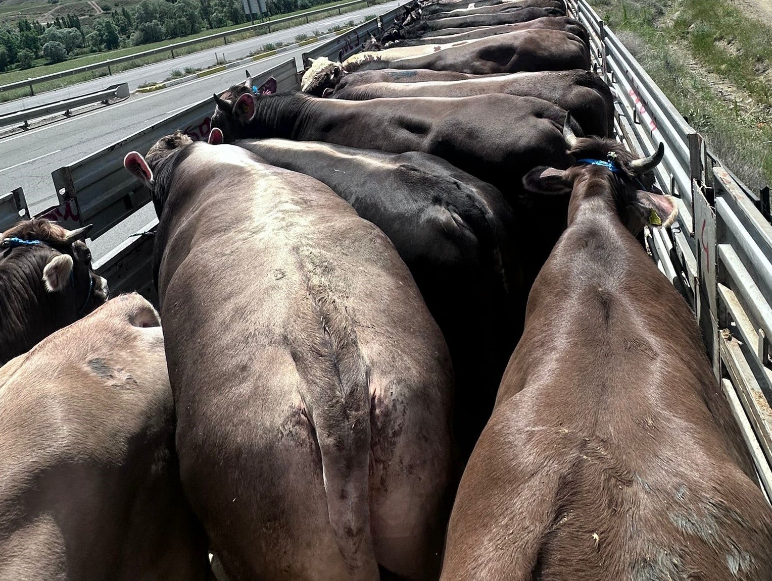 Kurban Bayramı öncesi gıda denetimlerine hız verildi
