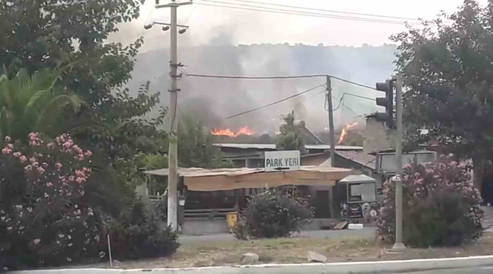 Didim’deki yangın kontrol altına alındı
