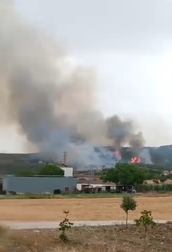 Didim’deki yangın kontrol altına alındı
