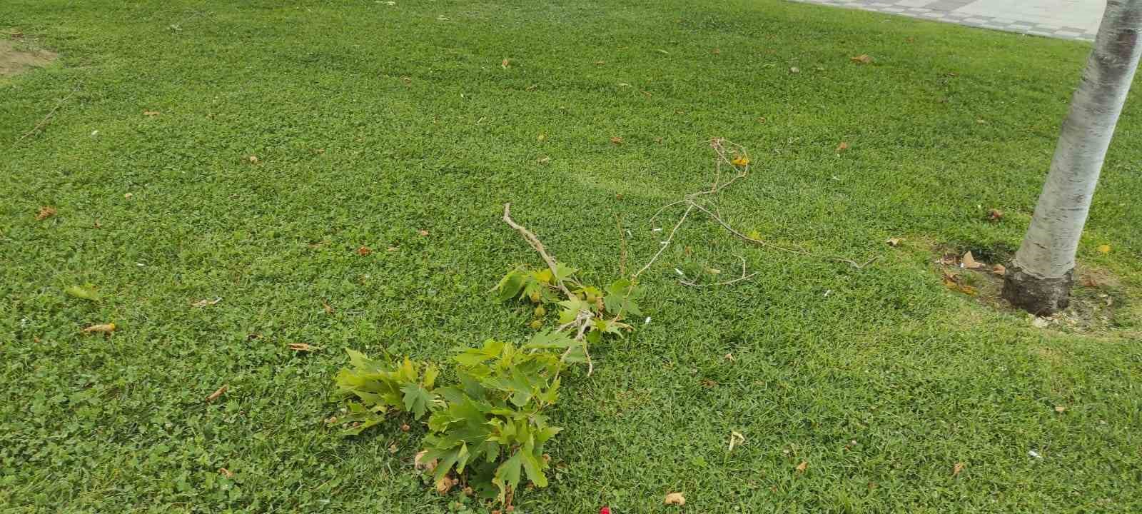 Tekirdağ’da yağış ve fırtına hayatı olumsuz etkiledi
