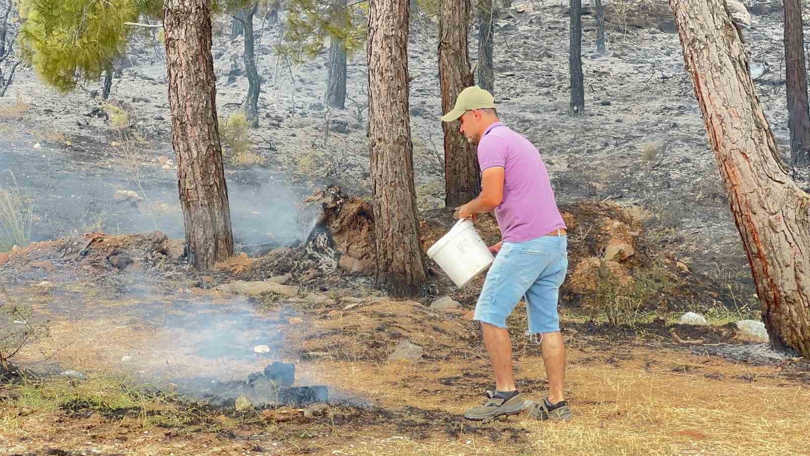 Milas’ta 48 hektar alan yandı
