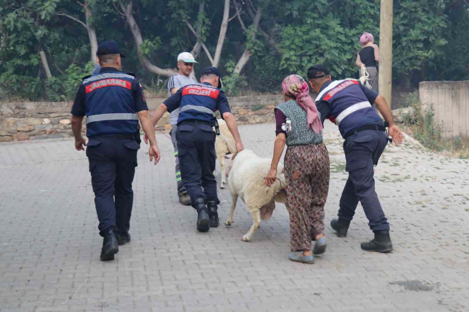 Bin nüfuslu mahallenin tahliyesi devam ediyor
