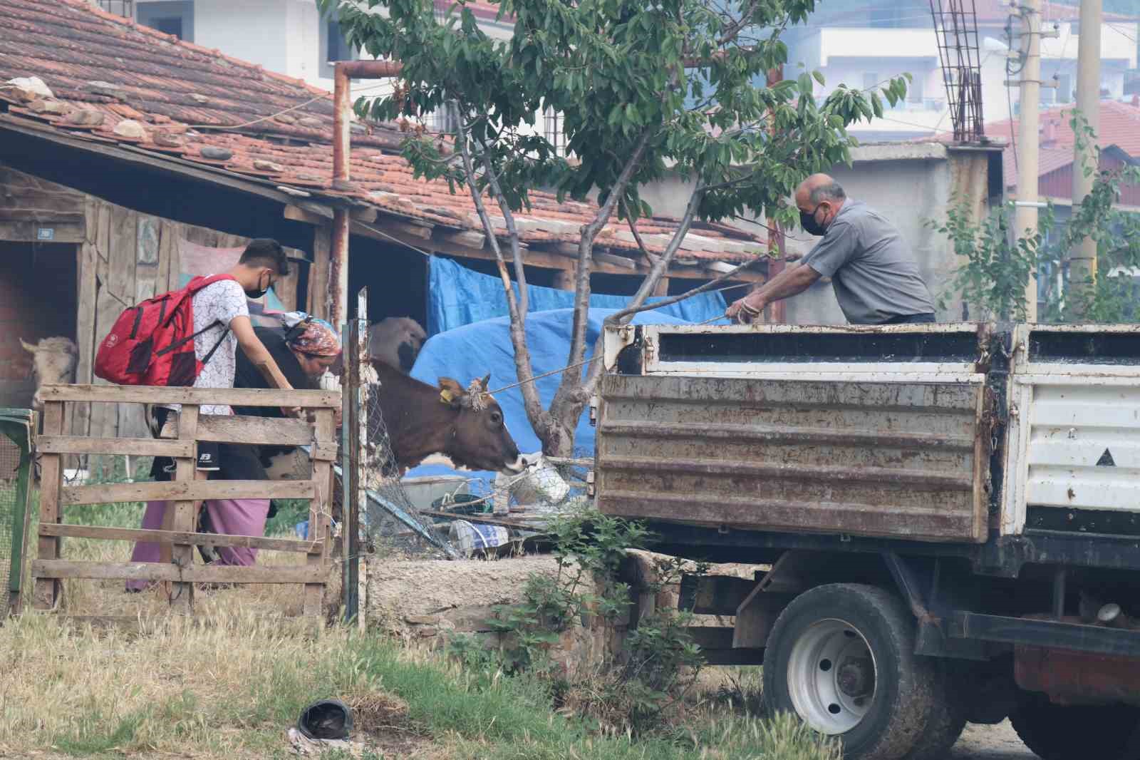 Bin nüfuslu mahallenin tahliyesi devam ediyor
