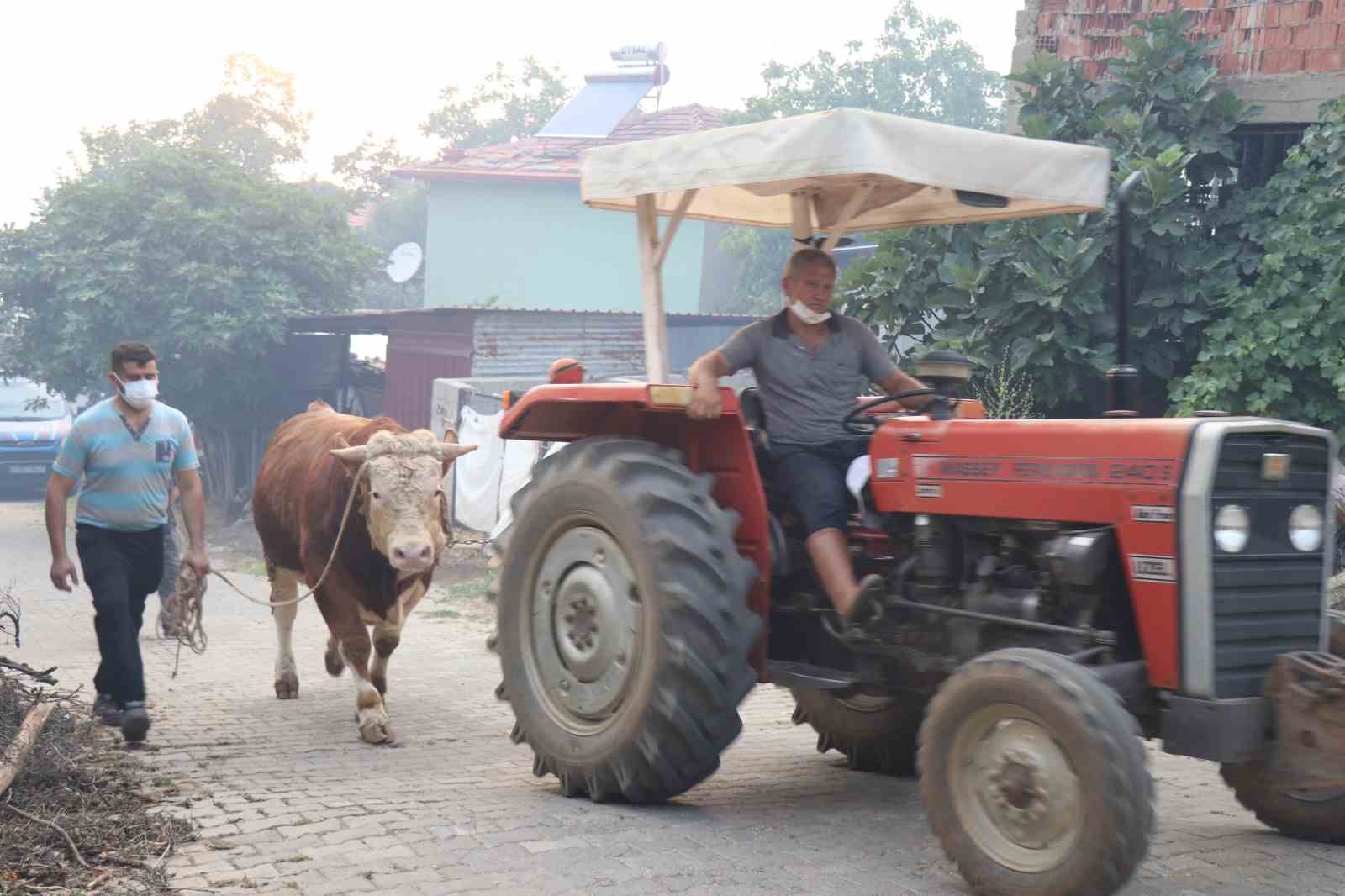 Bin nüfuslu mahallenin tahliyesi devam ediyor
