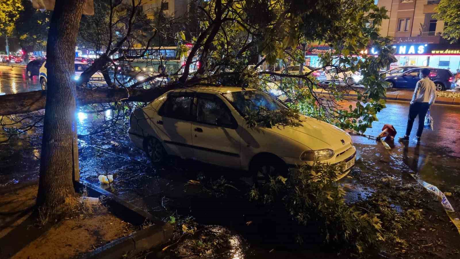 Kayseri’de şiddetli rüzgar ağaçları devirdi, vatandaşlar yolda mahsur kaldı
