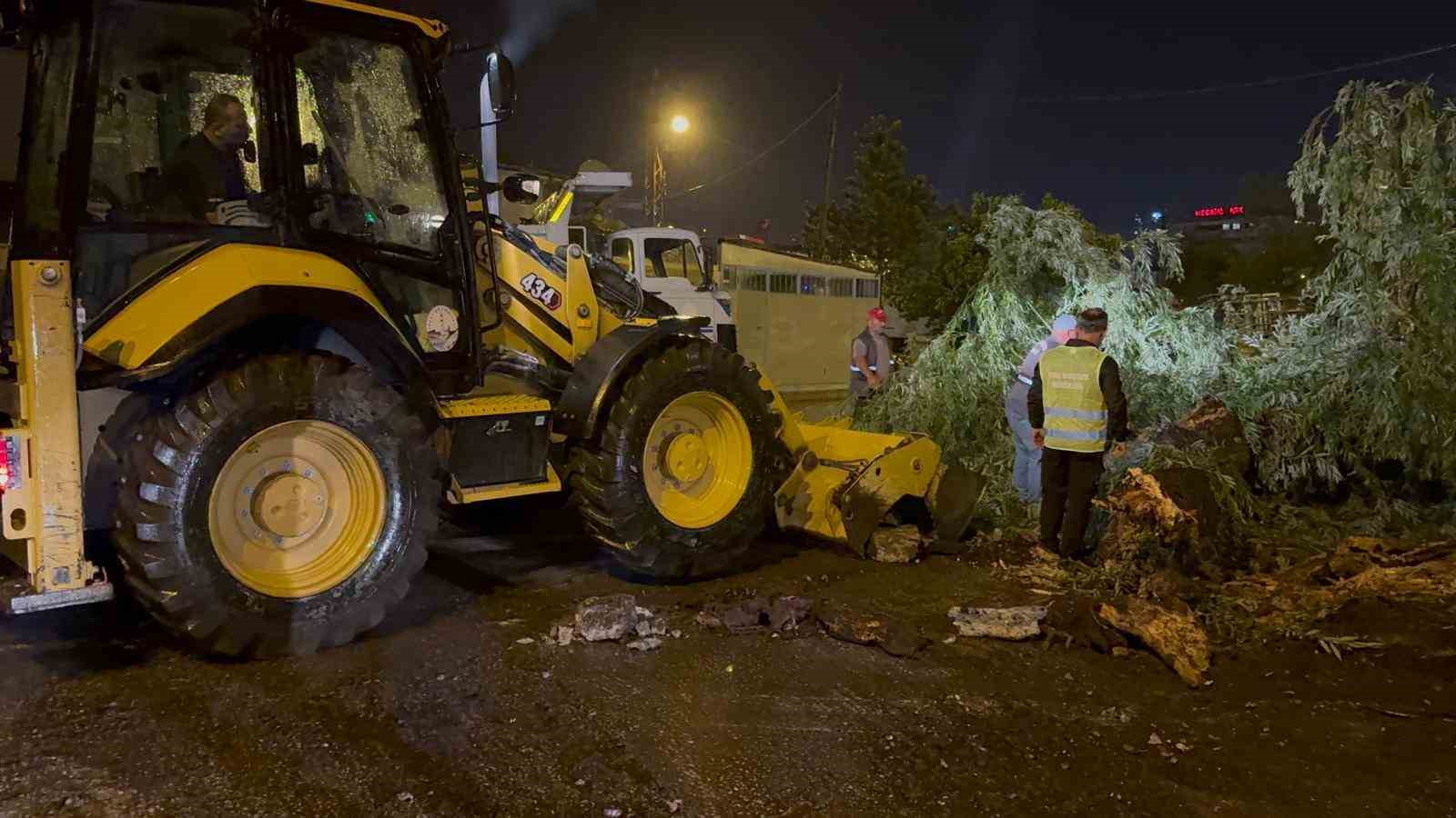 Tokat’ta fırtına ağaçları devirdi, çatıları uçurdu
