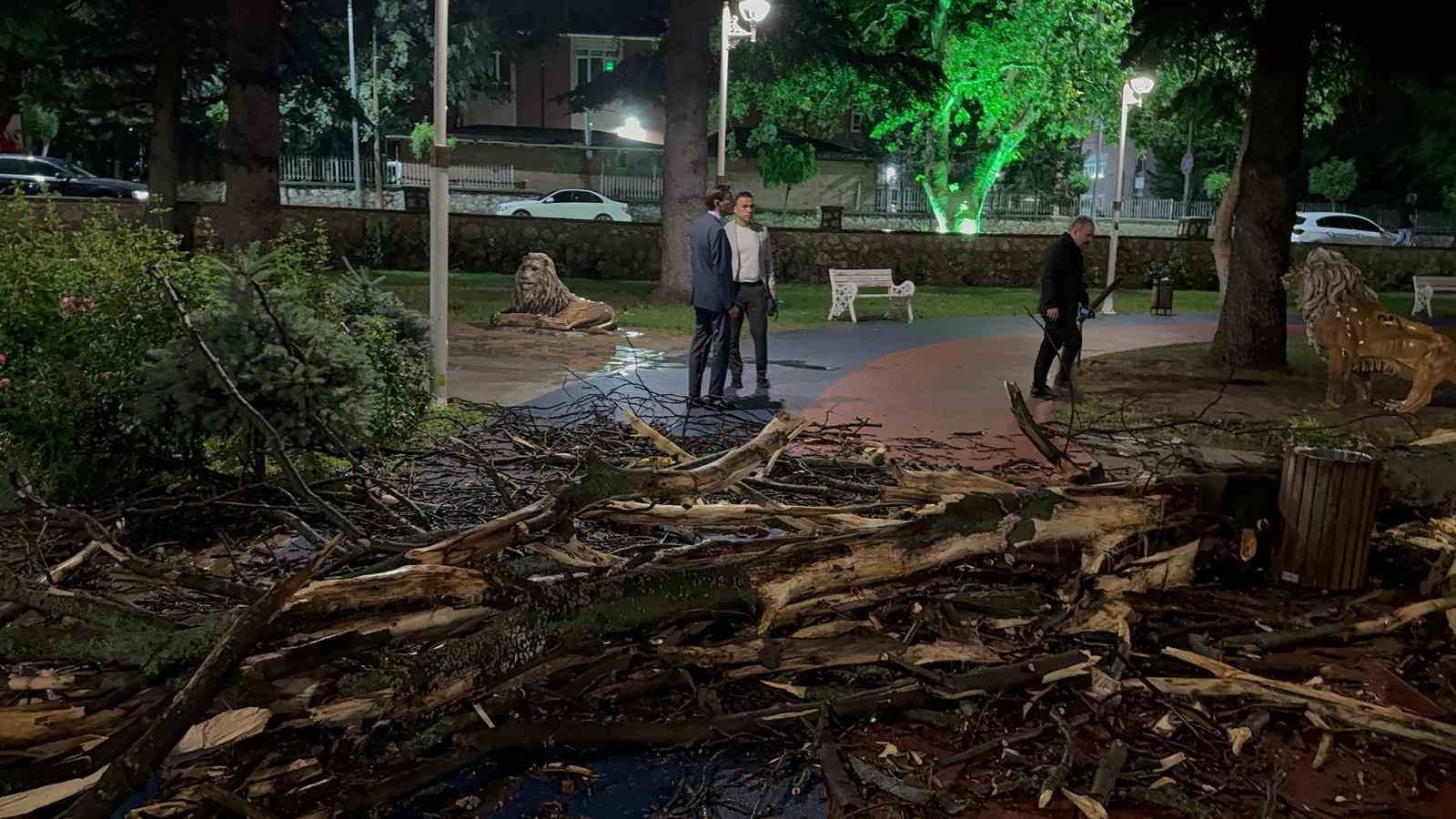 Tokat’ta fırtına ağaçları devirdi, çatıları uçurdu
