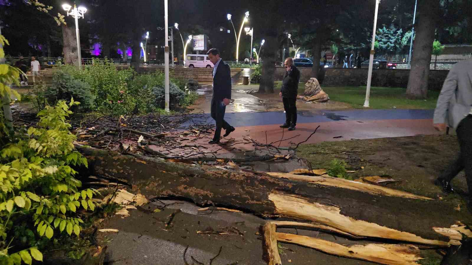 Tokat’ta fırtına ağaçları devirdi, çatıları uçurdu
