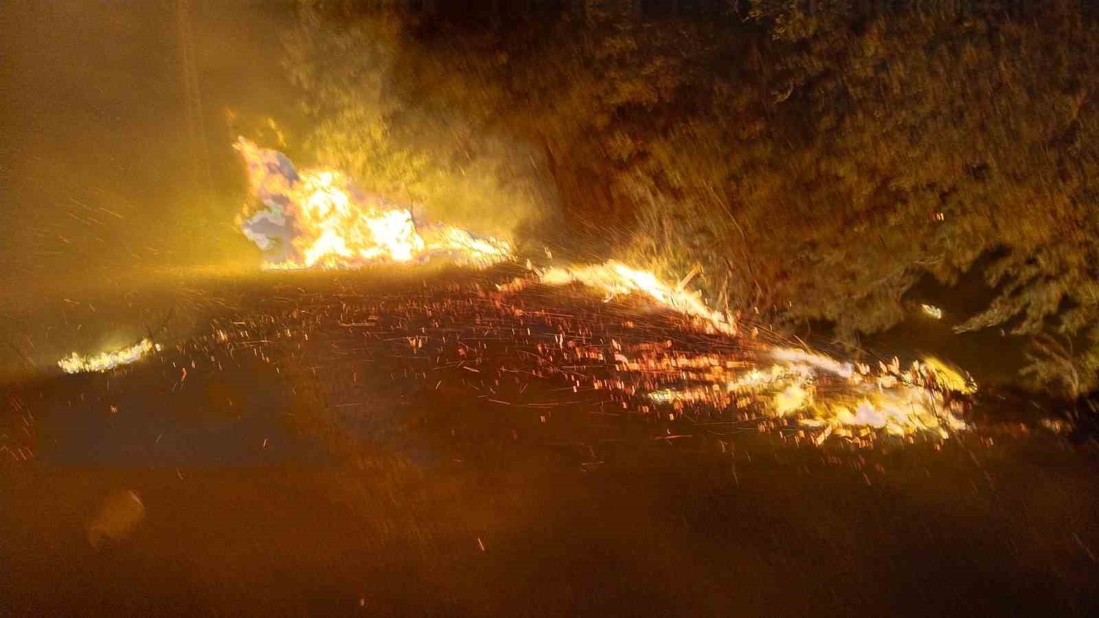 Tokat’ta yıldırım düşen ekili tarla yandı
