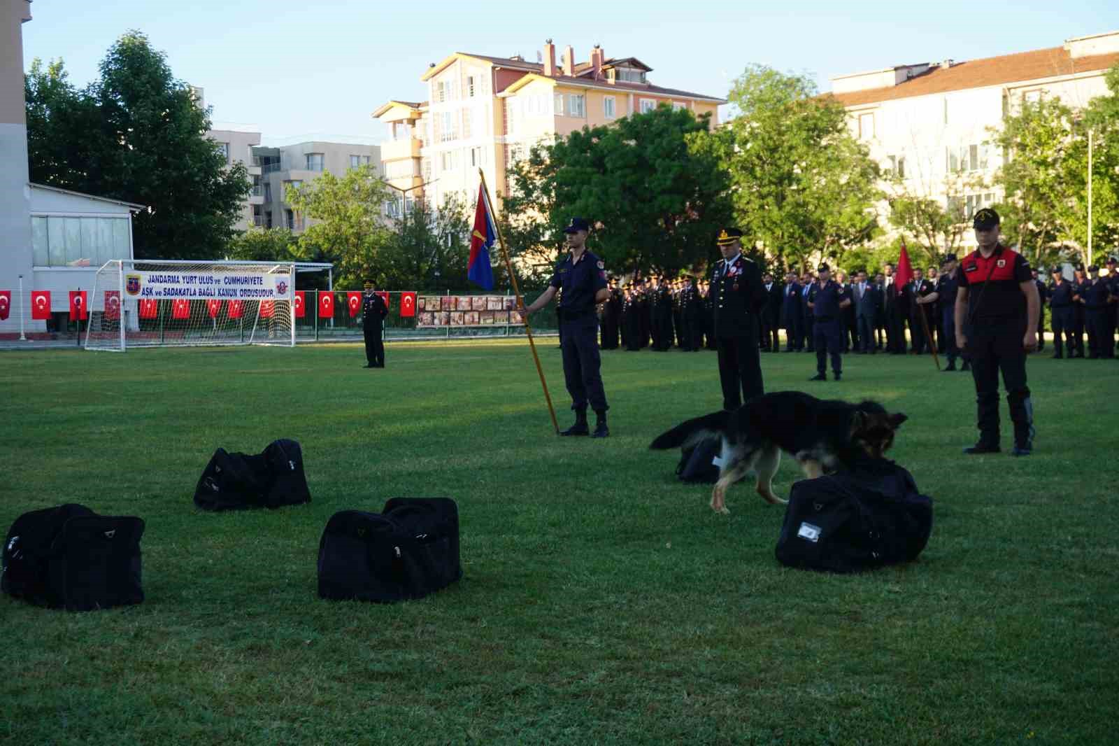 Jandarmanın Taka ve Yama isimli köpekleri gösteri yaptı
