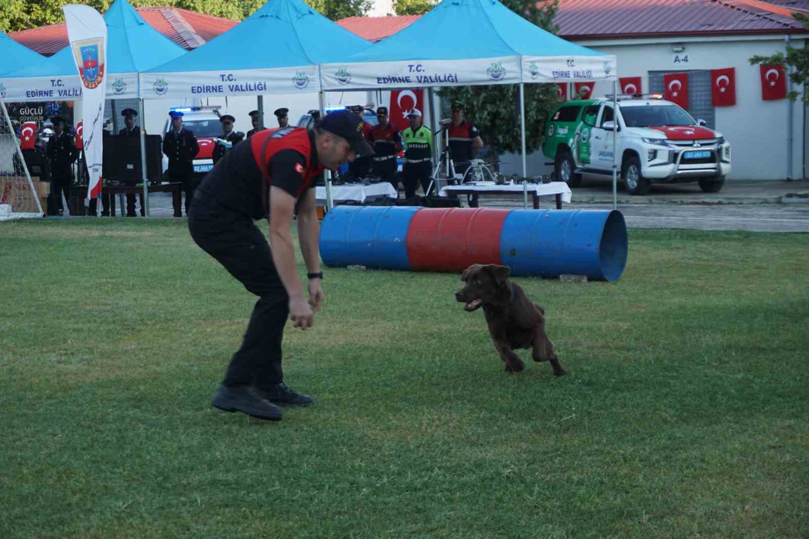 Jandarmanın Taka ve Yama isimli köpekleri gösteri yaptı
