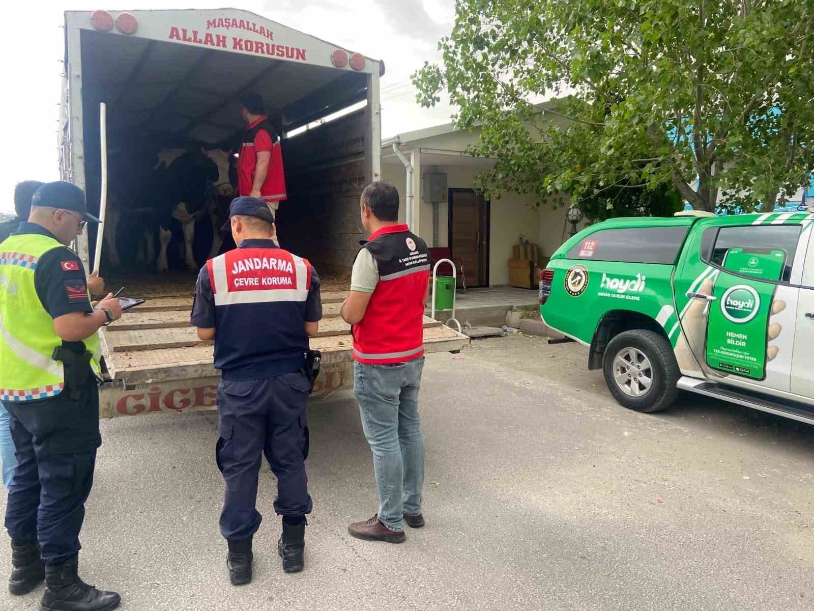 Jandarma’dan kurbanlık nakli yapan araçlara denetim
