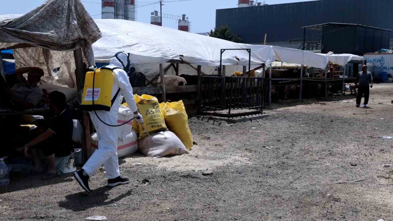 Kurban bayramı için hijyen alarmı: Hastalık riskine karşı harekete geçtiler
