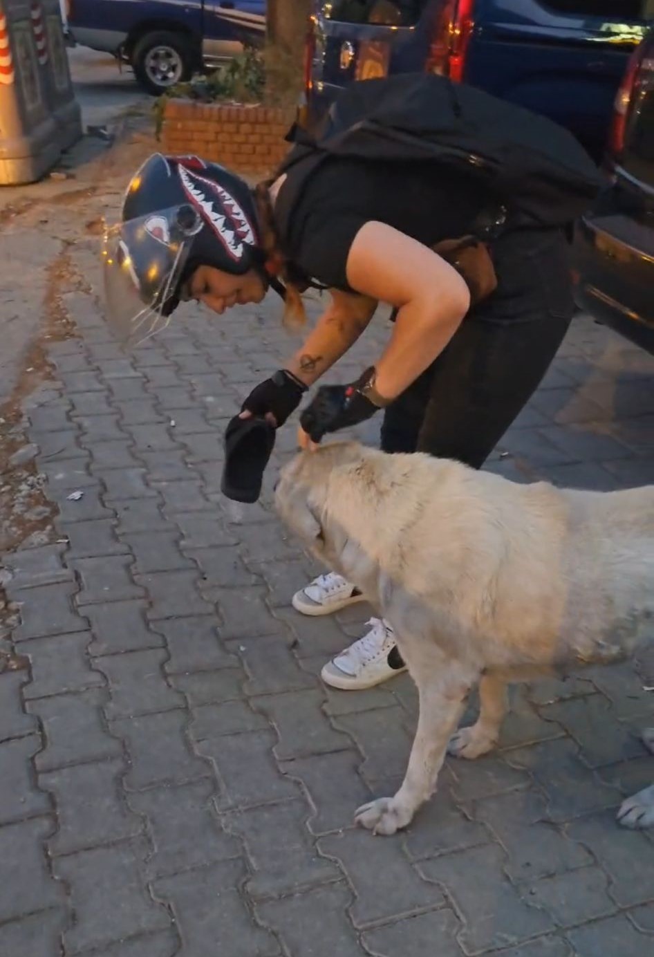 Sevimli köpek, parka dinlenmeye gelen kadının terliğini çaldı
