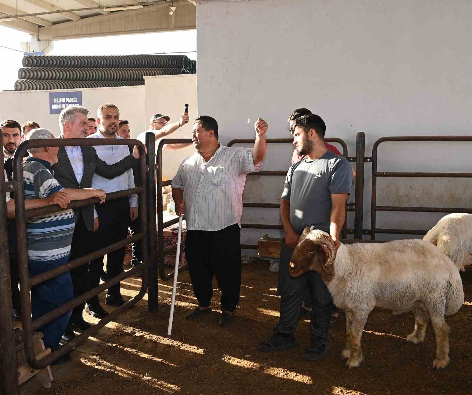 Depremzede Kahramanmaraş’ta Kurban Bayramı heyecanı
