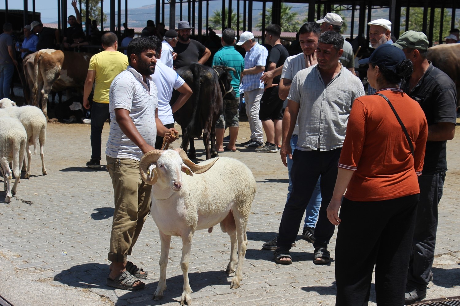 Aydın’daki hayvan pazarında bu yıl durgunluk yaşanıyor
