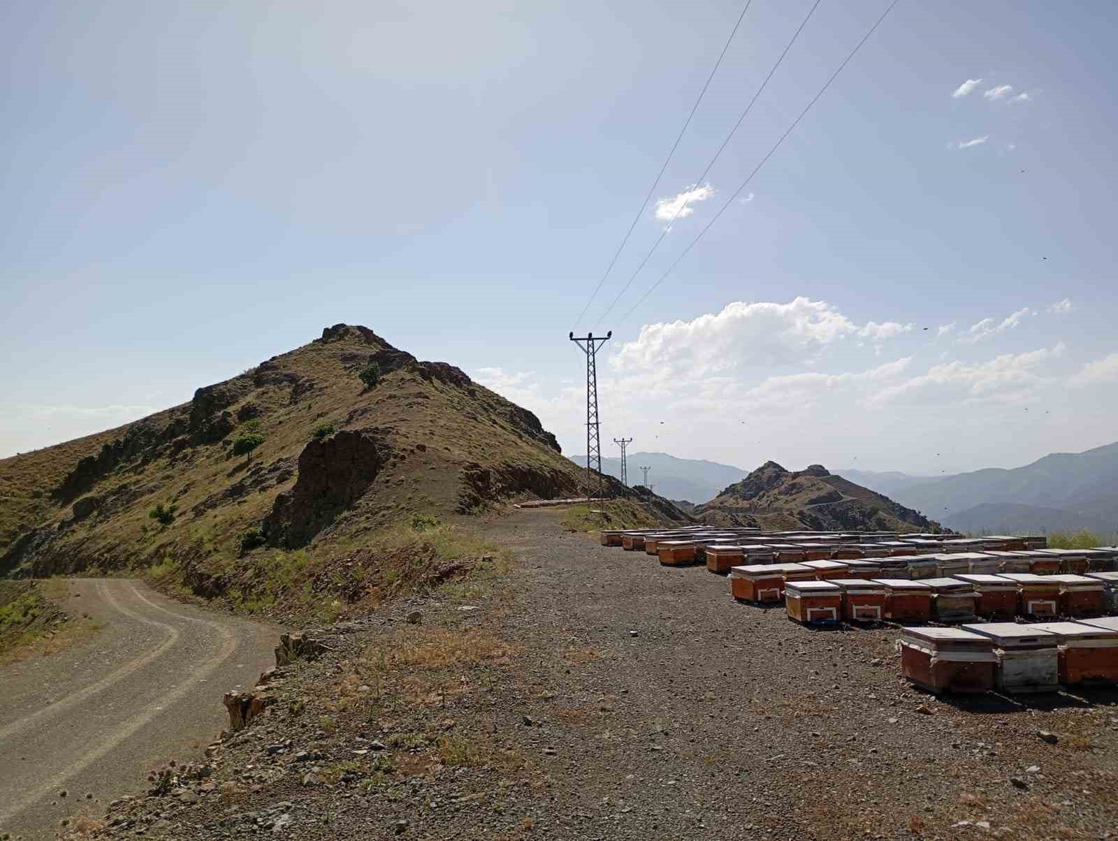 Pervari’de arıcılar yayla yoluna kavuştu
