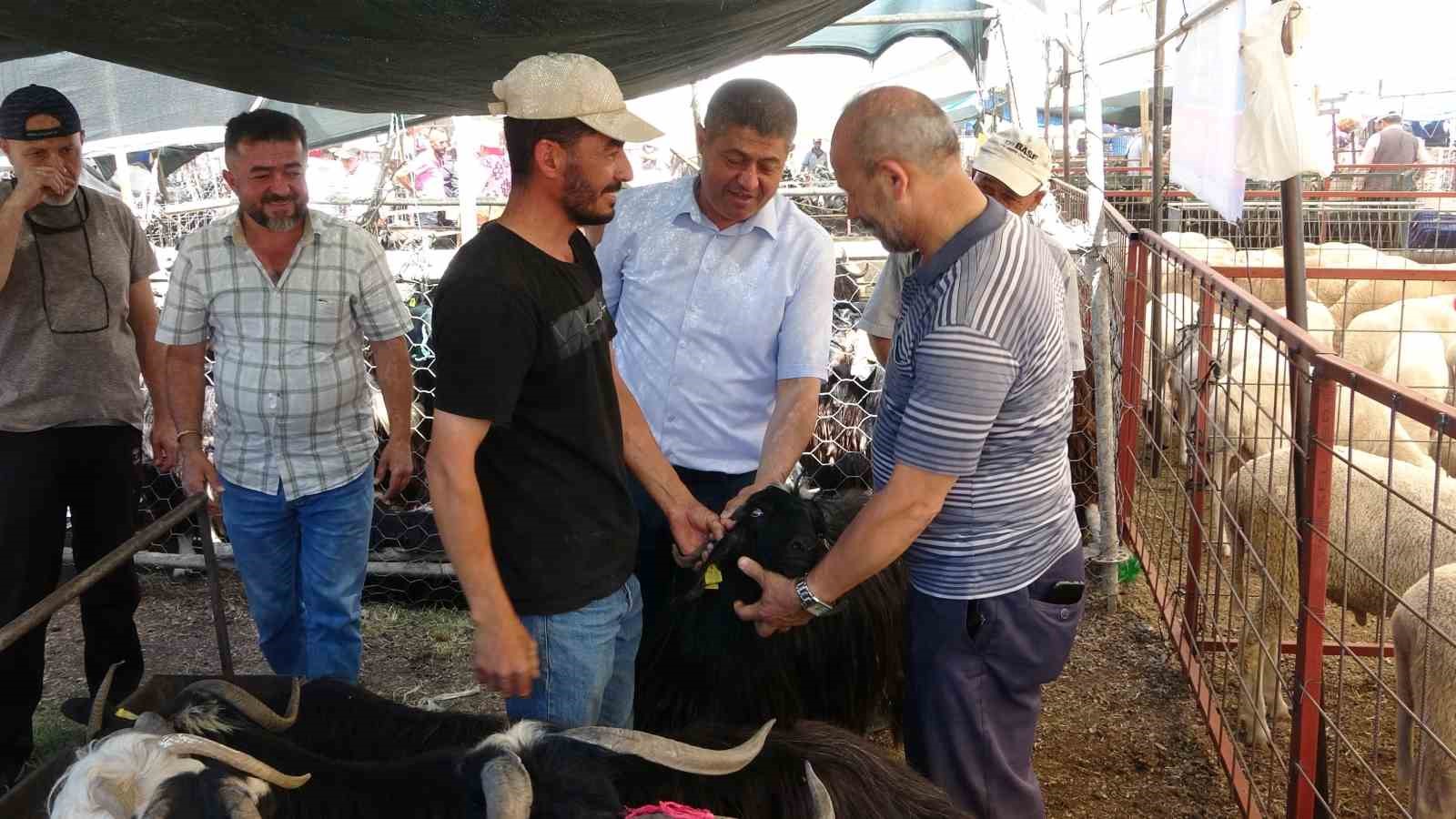 1 ton ağırlığındaki dana 200 bin TL’ye satıldı
