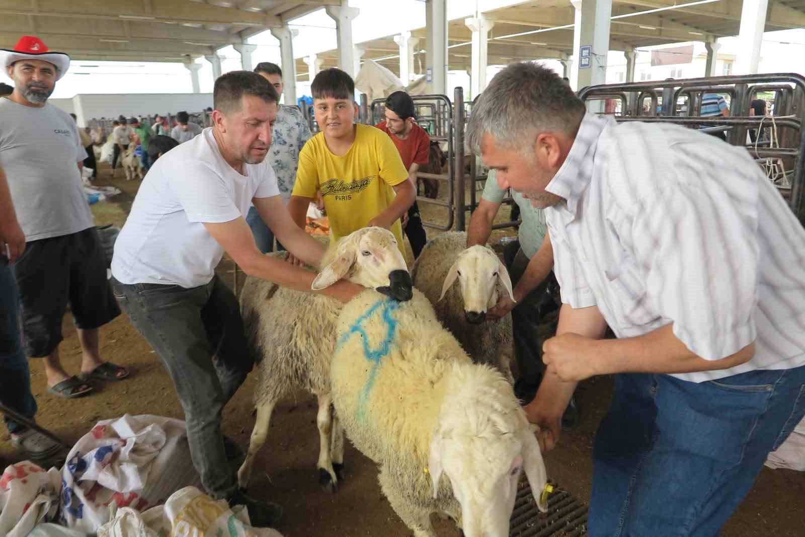 Arefe günü kurban pazarlarında hareketlilik
