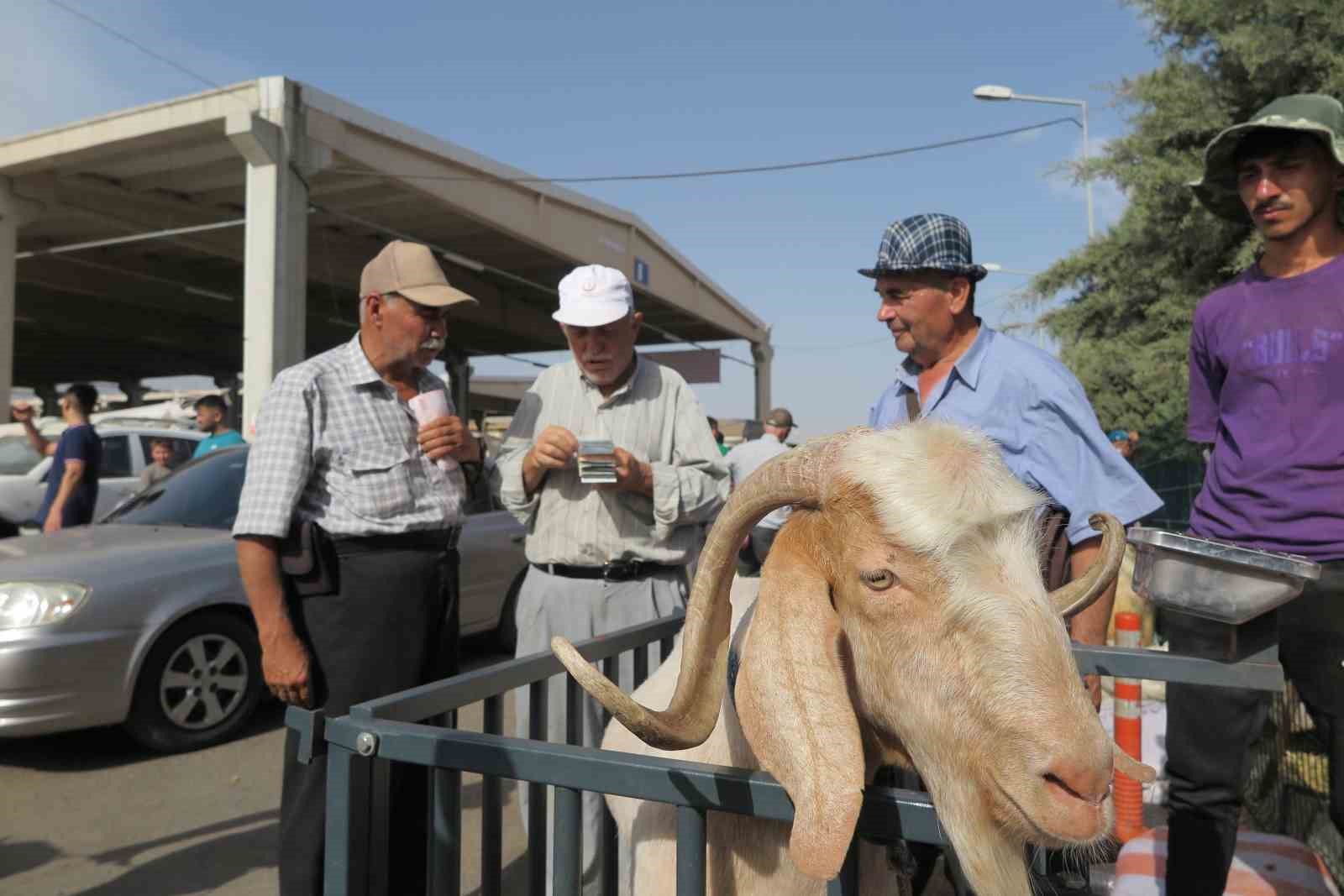 Arefe günü kurban pazarlarında hareketlilik
