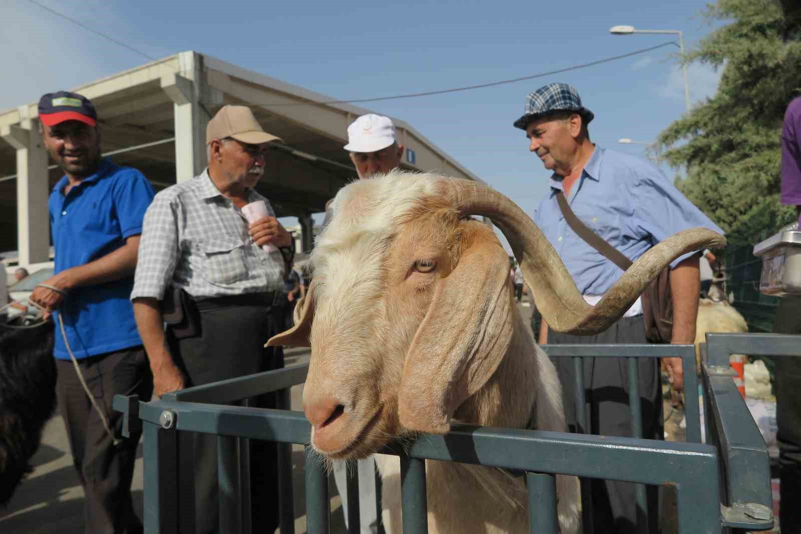 Arefe günü kurban pazarlarında hareketlilik
