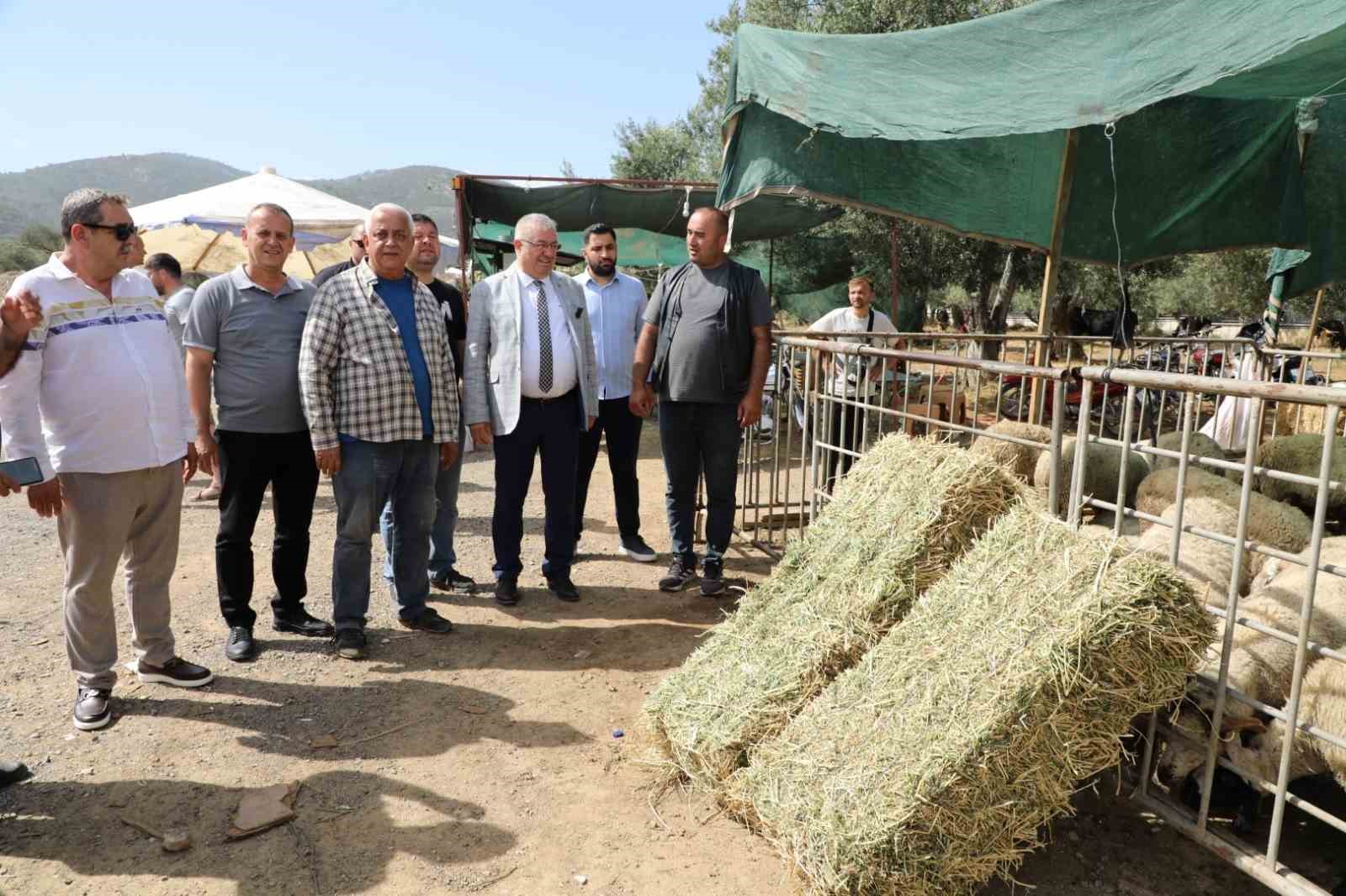 Başkan Ertaş: “Kurban Bayramı dayanışma demektir”
