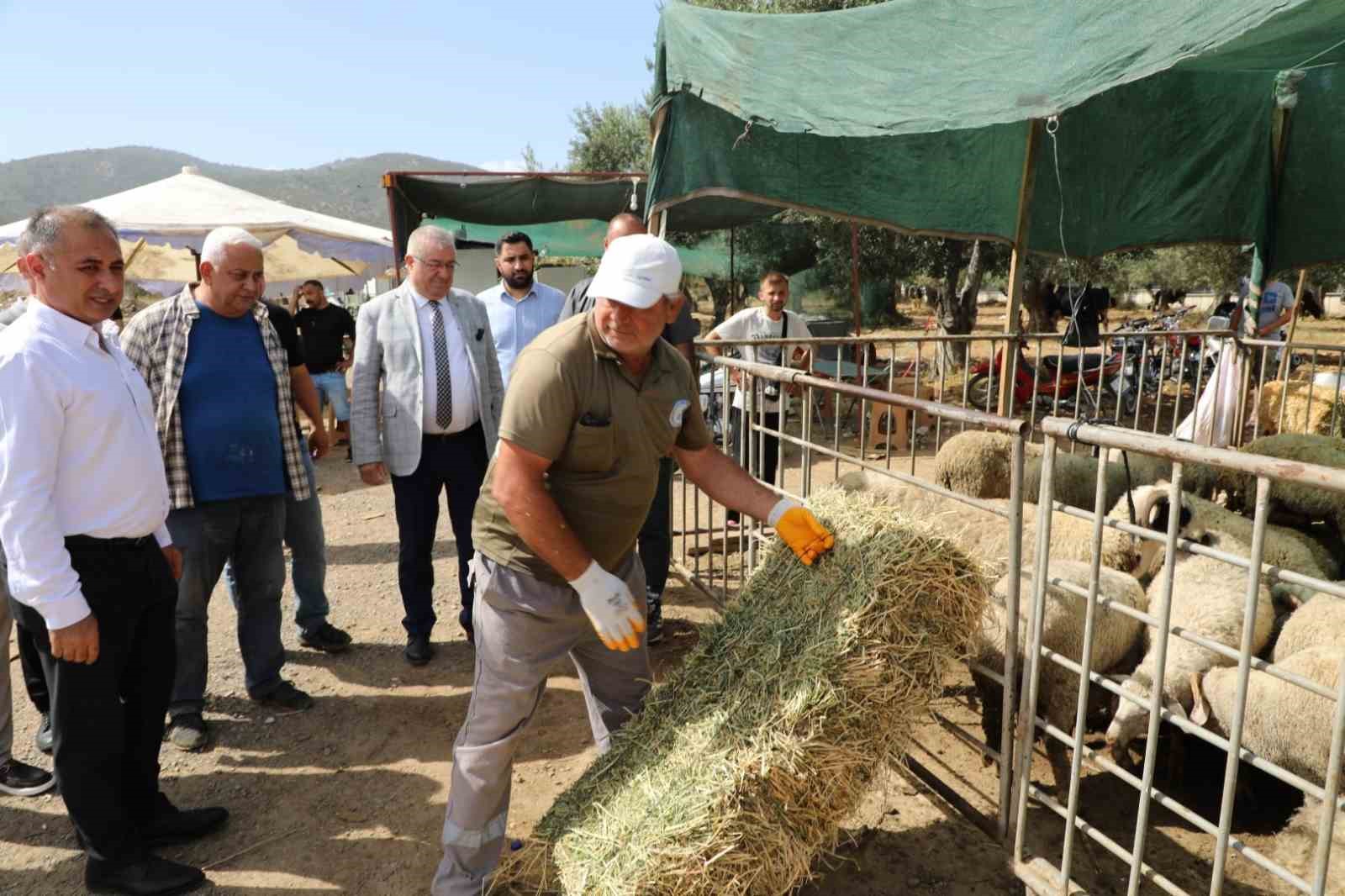 Başkan Ertaş: “Kurban Bayramı dayanışma demektir”
