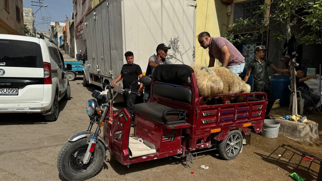 Kilis’te kurbanlıklar sepetli motosikletlerle taşındı
