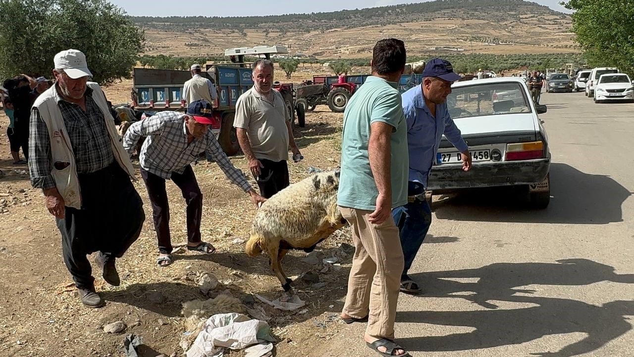 Kilis’te kurbanlıklar sepetli motosikletlerle taşındı
