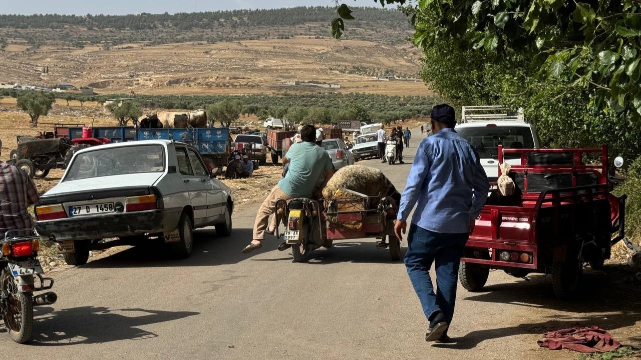 Kilis’te kurbanlıklar sepetli motosikletlerle taşındı
