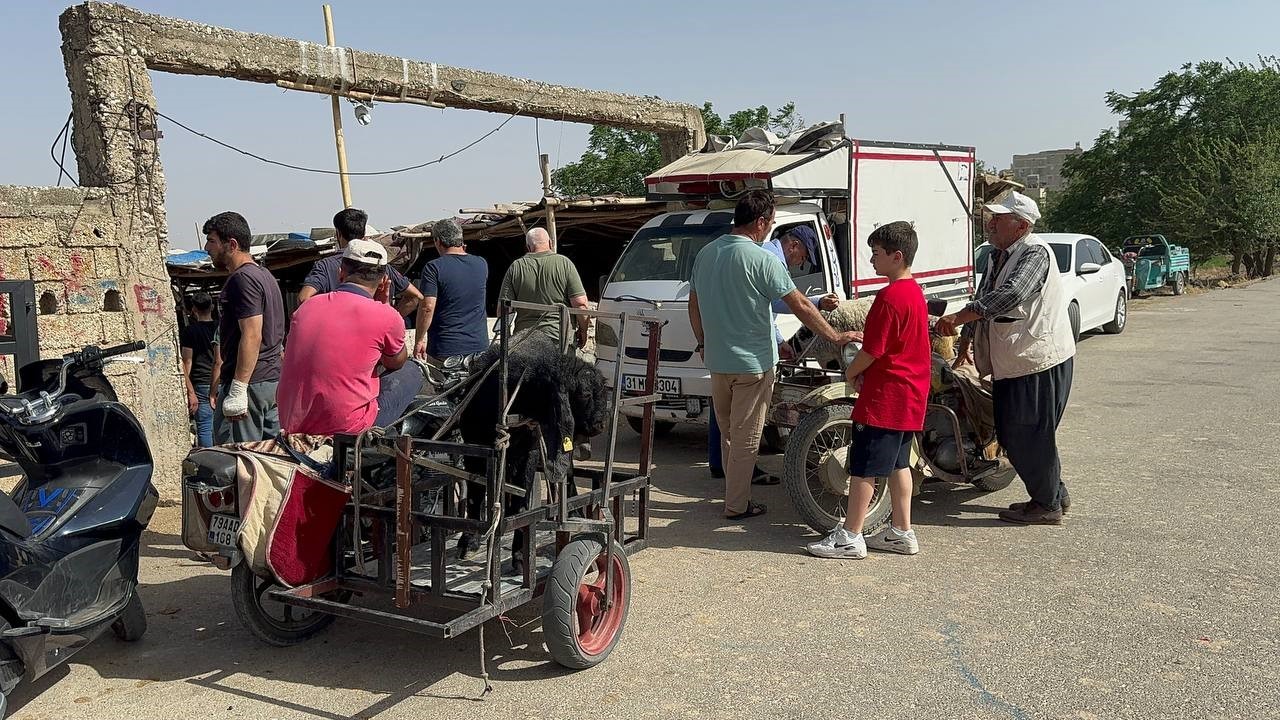 Kilis’te kurbanlıklar sepetli motosikletlerle taşındı
