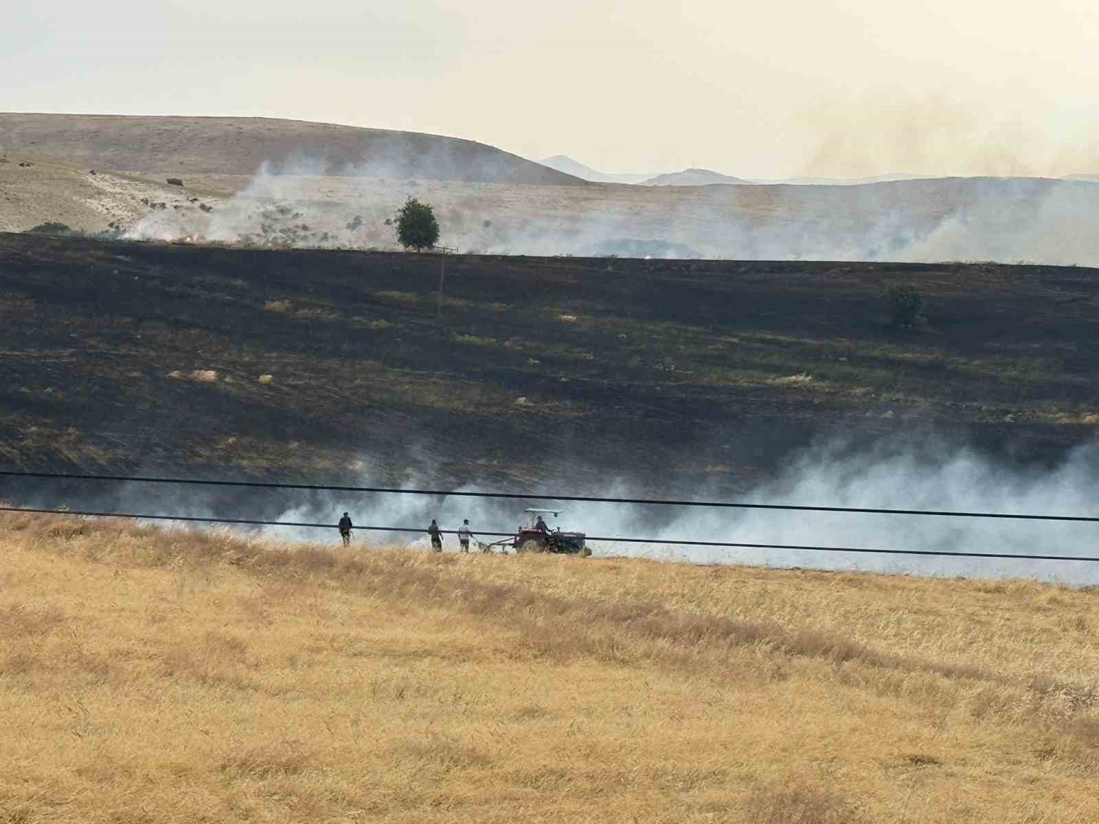 Tunceli’de yıldırım ekili alana isabet etti, yüzlerce dönüm buğday kül oldu
