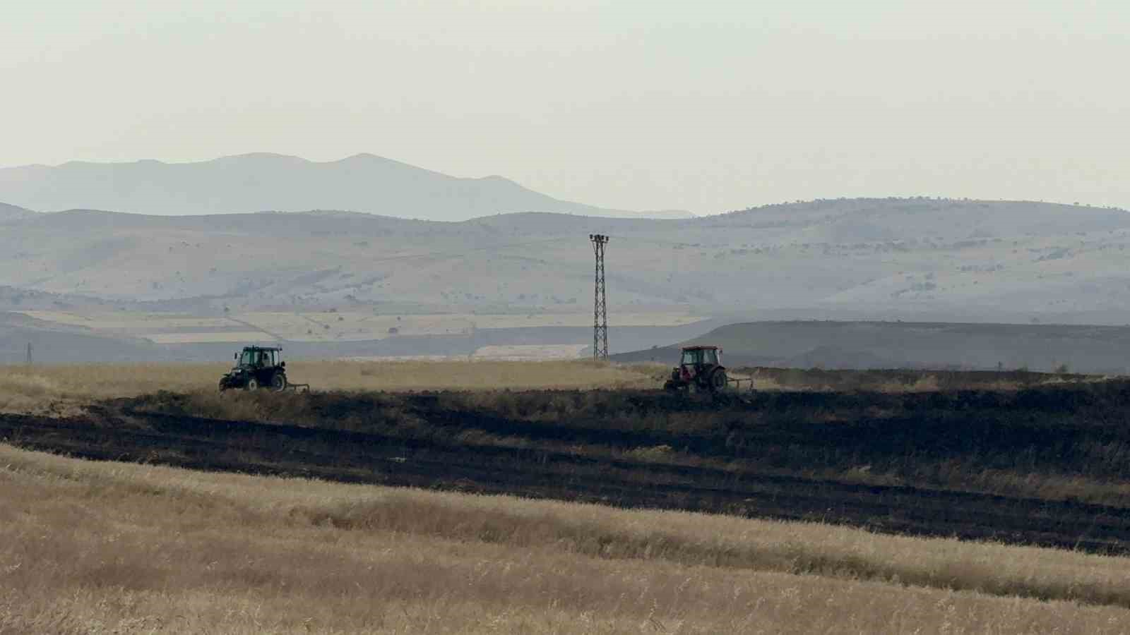 Tunceli’de yıldırım ekili alana isabet etti, yüzlerce dönüm buğday kül oldu
